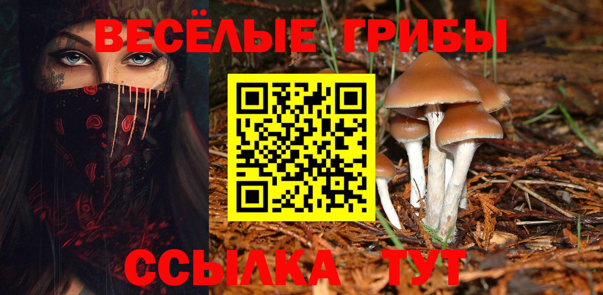 Псилоцибиновые грибы прущие грибы  Вход с VPN  Кубинка 
