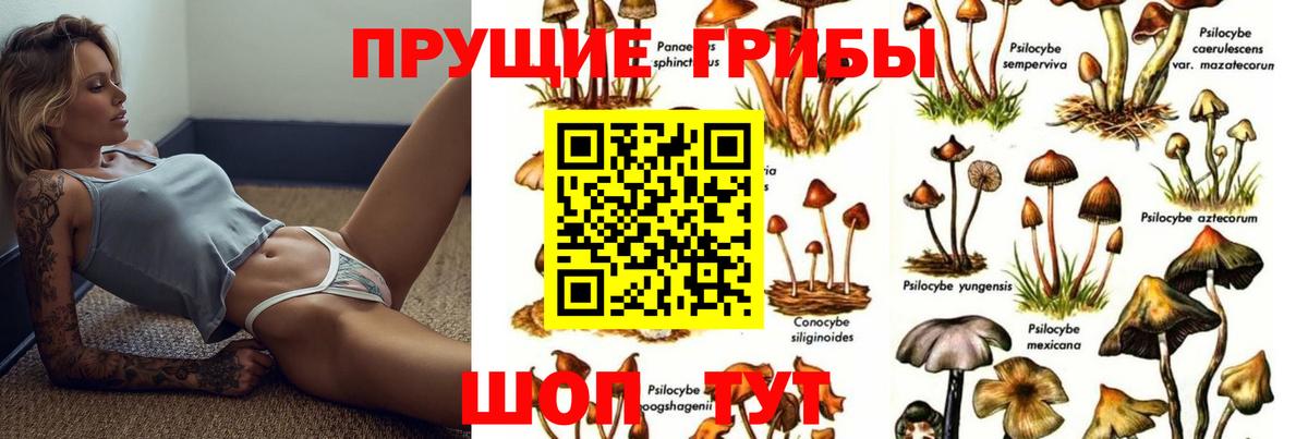 Псилоцибиновые грибы мицелий Кубинка